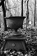 At Rest 33